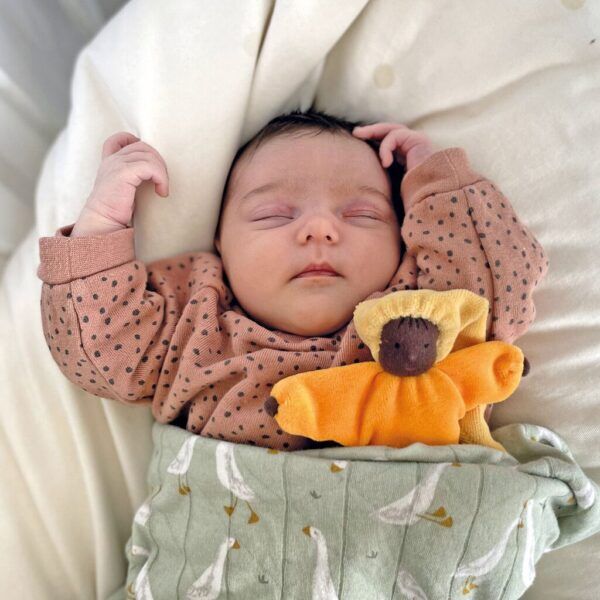 Grimms Lavendelpop zon