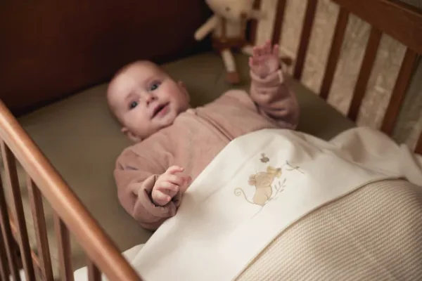 Jollein Laken Wieg 75x100cm Dreamy Mouse