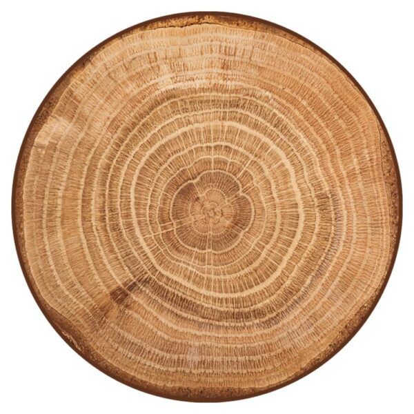 Vinyl vloerkleed in diverse afmetingen – Boomstam