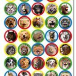 stickers dieren