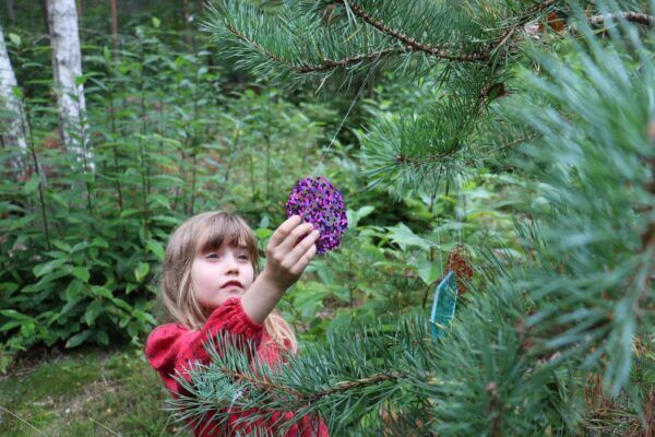 Tickit Regenboog glittervormen – 21 stuks