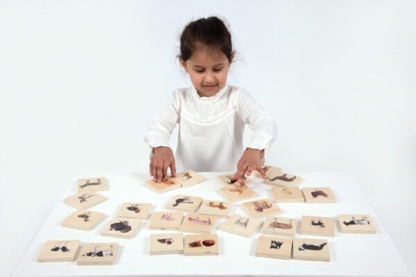 Tickit Match Boerderijdieren