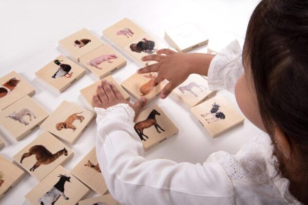 Tickit Match Boerderijdieren