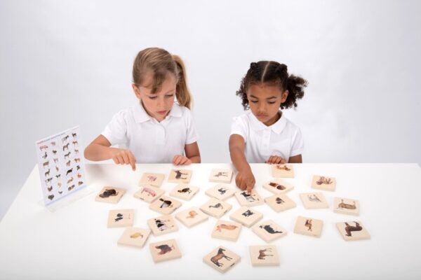 Tickit Match Boerderijdieren