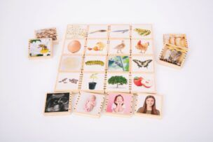 Tickit Houten Fotoblokken – Levensyclus