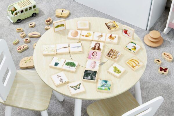 Tickit Houten Fotoblokken – Levensyclus