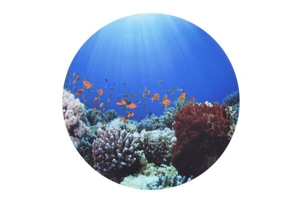 Tickit Speelmat voor Lichttafel – Onder water