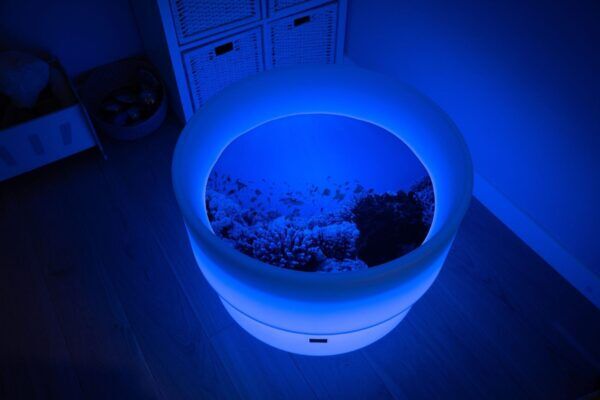 Tickit Speelmat voor Lichttafel – Onder water