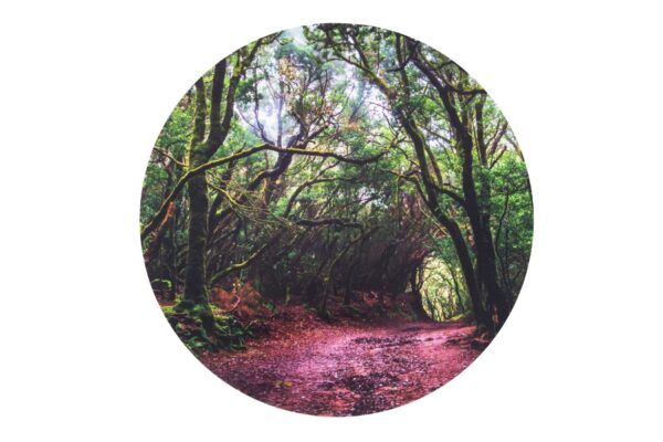 Tickit Speelmat voor Lichttafel – Bos