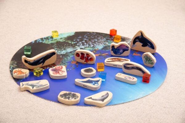 Tickit Houten Fotoblokken – Zeedieren