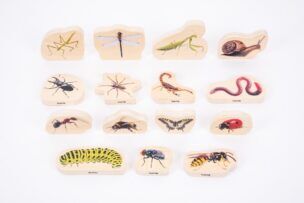 Tickit Houten Fotoblokken – Insecten