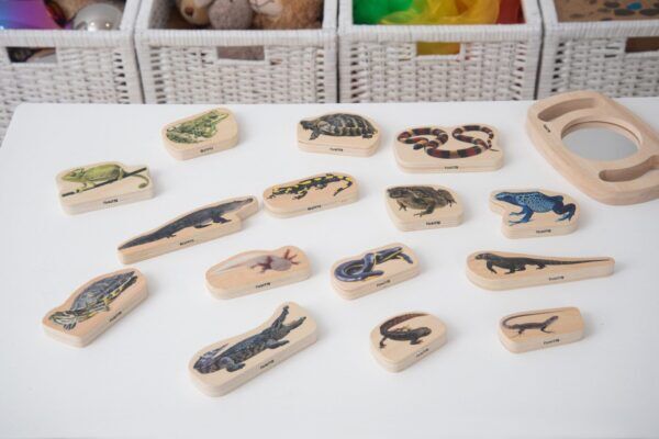 Tickit Houten Fotoblokken Reptielen en Amfibie
