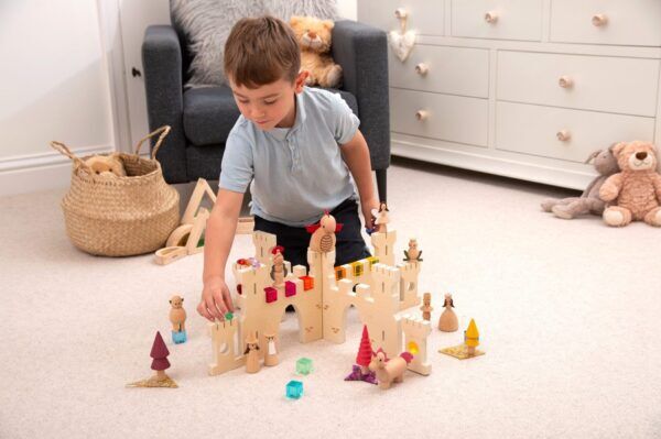 Discovery Castle Dividers