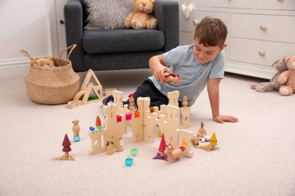 Discovery Castle Dividers