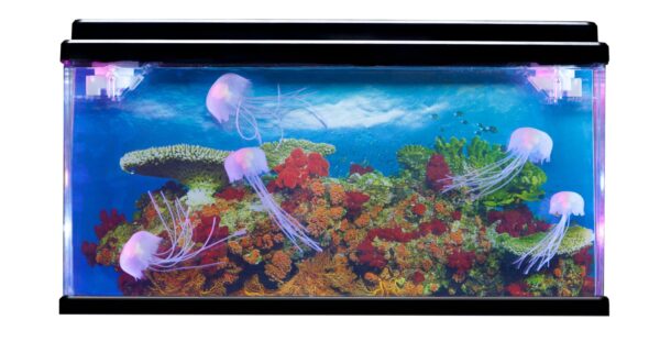 LED Licht Aquarium met Kwallen – 35 cm x 14 cm x 14 cm foto 1