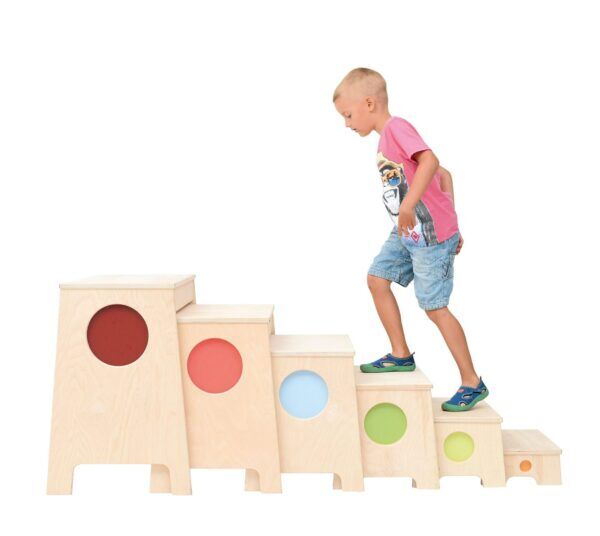 Multifunctionele Platformen