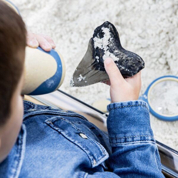 Guidecraft Super Haaientanden Set – 40 stuks