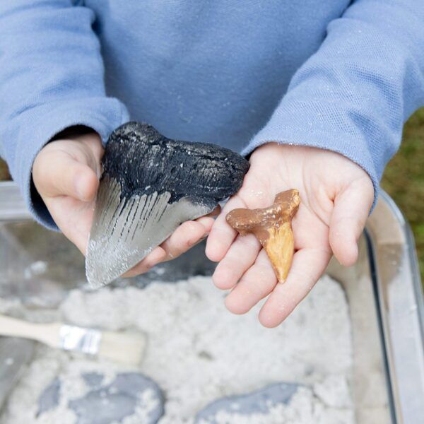 Guidecraft Super Haaientanden Set – 40 stuks