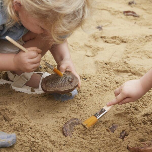 Guidecraft Magnetische Fossielen Set – 6 Stuks