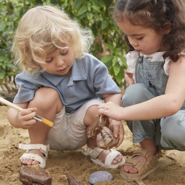 Guidecraft Magnetische Fossielen Set – 6 Stuks