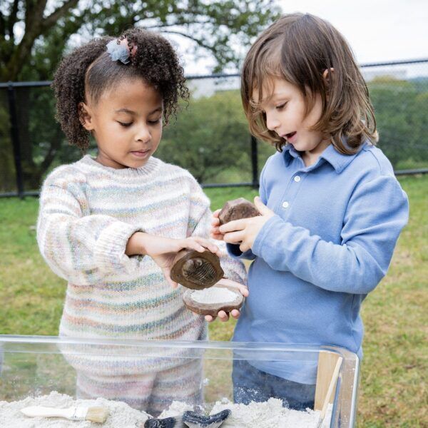 Guidecraft Magnetische Fossielen Set – 6 Stuks