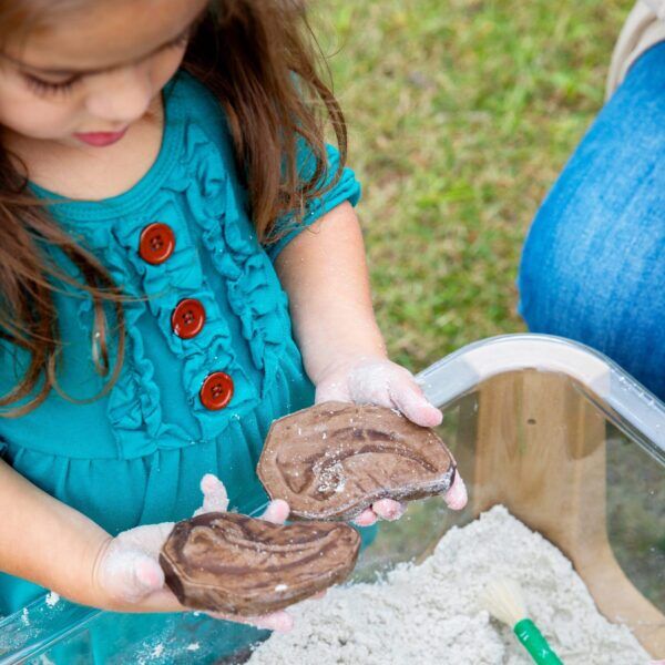 Guidecraft Magnetische Fossielen Set – 6 Stuks