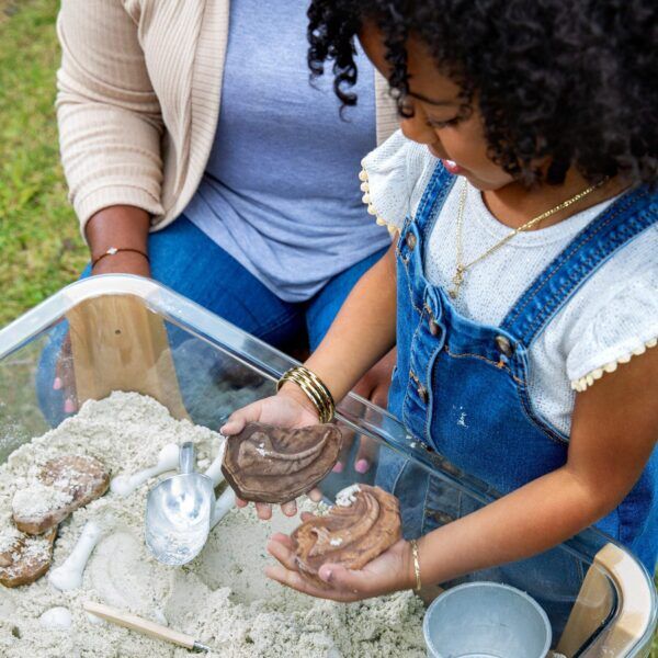 Guidecraft Magnetische Fossielen Set – 6 Stuks