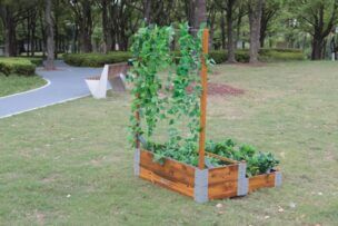 Verhoogde Plantenbak met Klimrek foto 2