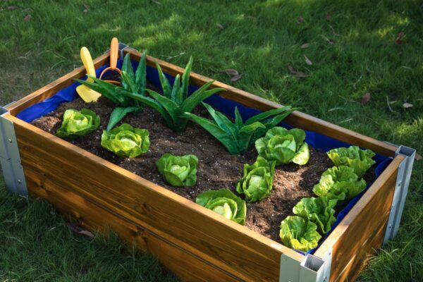 Kweekkas Kinderopvang