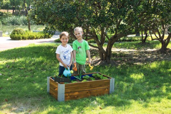 Kweekkas Kinderopvang