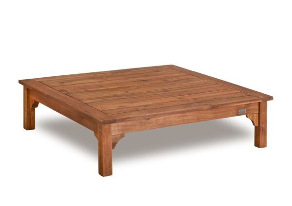 Stevige Lage Speeltafel – Voor Binnen & Buiten