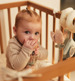 Jollein Houten Regenrammelaar – Lovely Birds foto 2