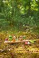 goki herfst spel