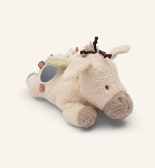 Activiteiten Knuffel – Donkey Dinky